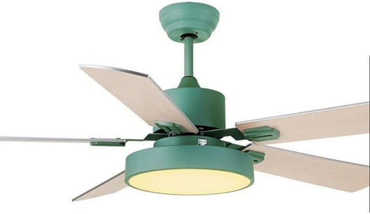 Ventilator met afstandsbediening, geluidsarme werking, gerichte luchtcirculatie en groen